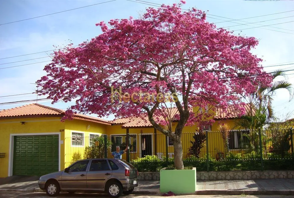 Casa, 4 quartos - Foto 8