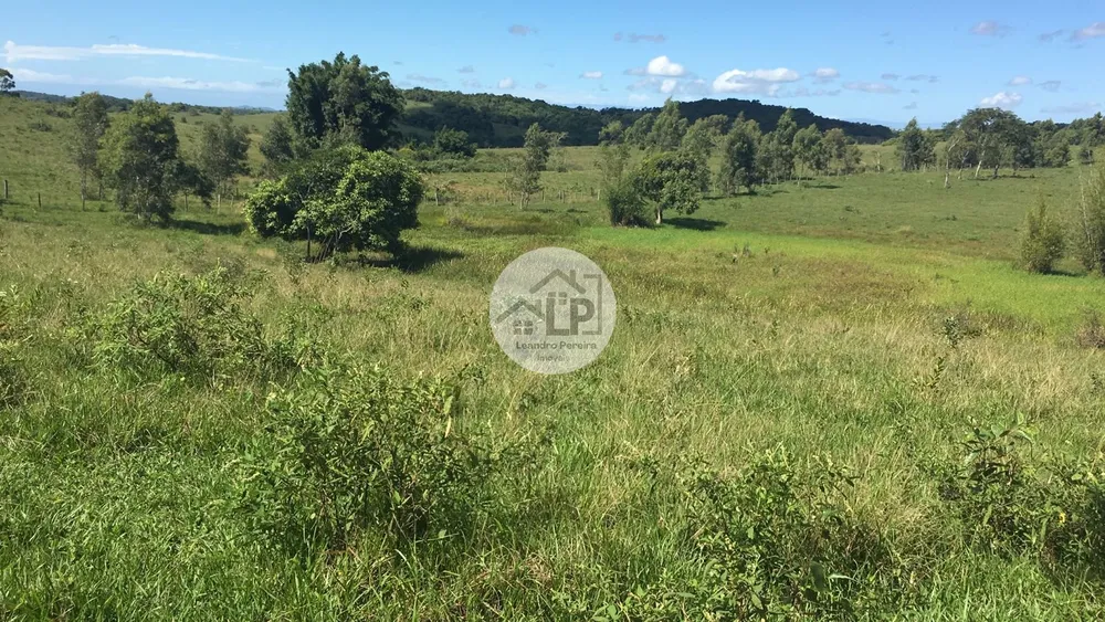 Fazenda, 244 hectares - Foto 11