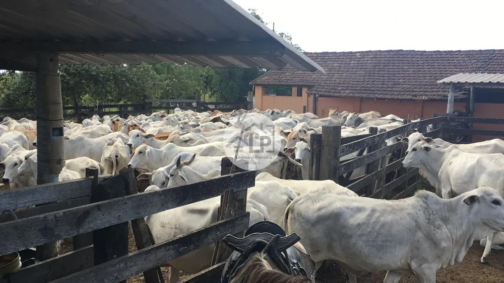 Fazenda, 244 hectares - Foto 7