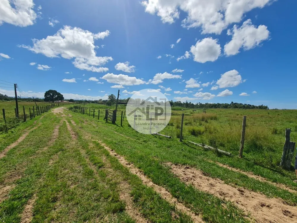 Fazenda, 244 hectares - Foto 20