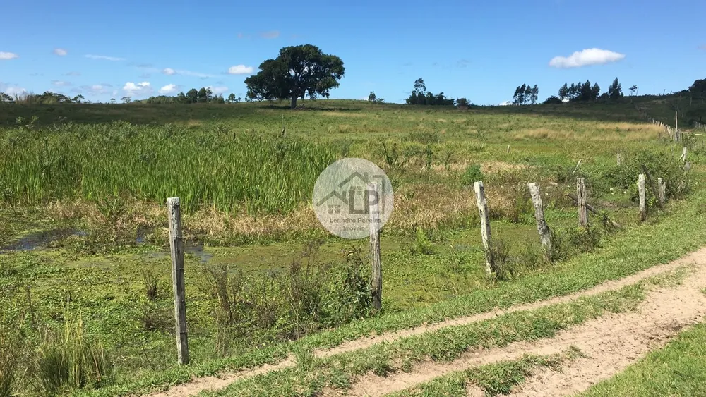 Fazenda, 244 hectares - Foto 6