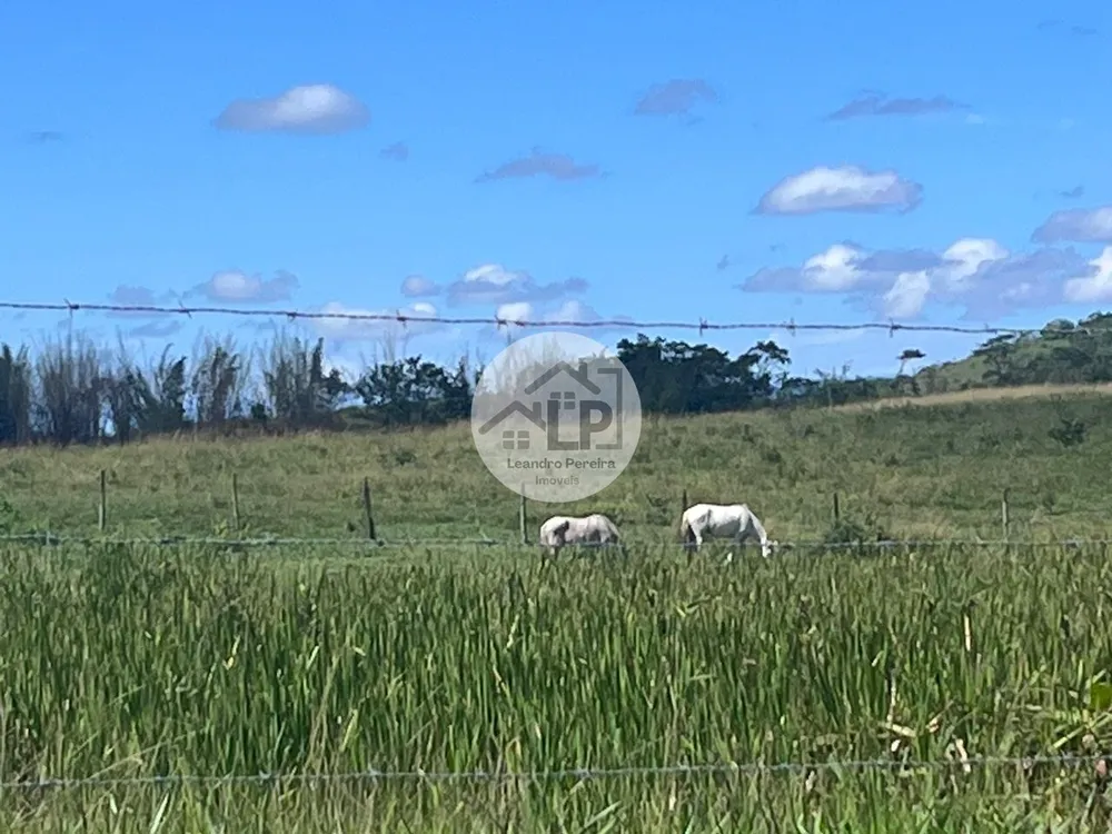 Fazenda, 244 hectares - Foto 13