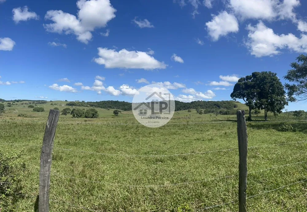 Fazenda, 244 hectares - Foto 12