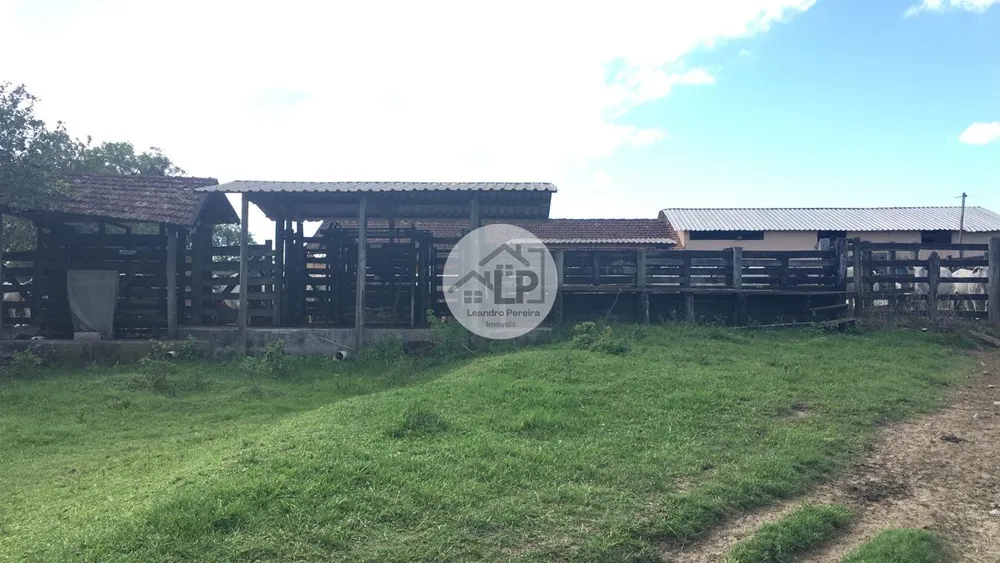 Fazenda, 244 hectares - Foto 9