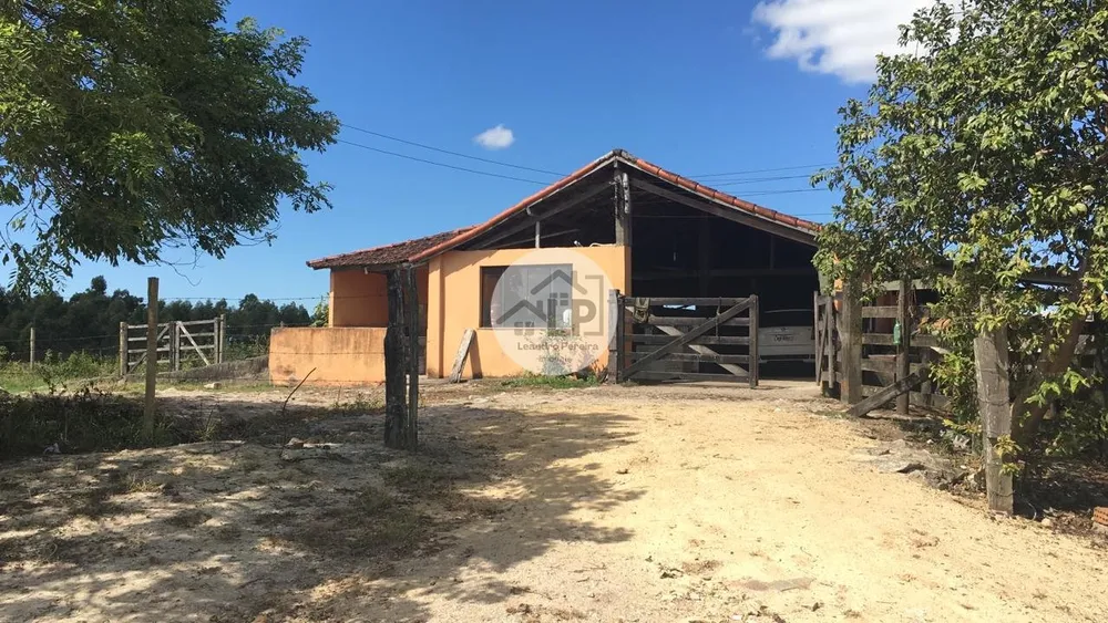 Fazenda, 244 hectares - Foto 5