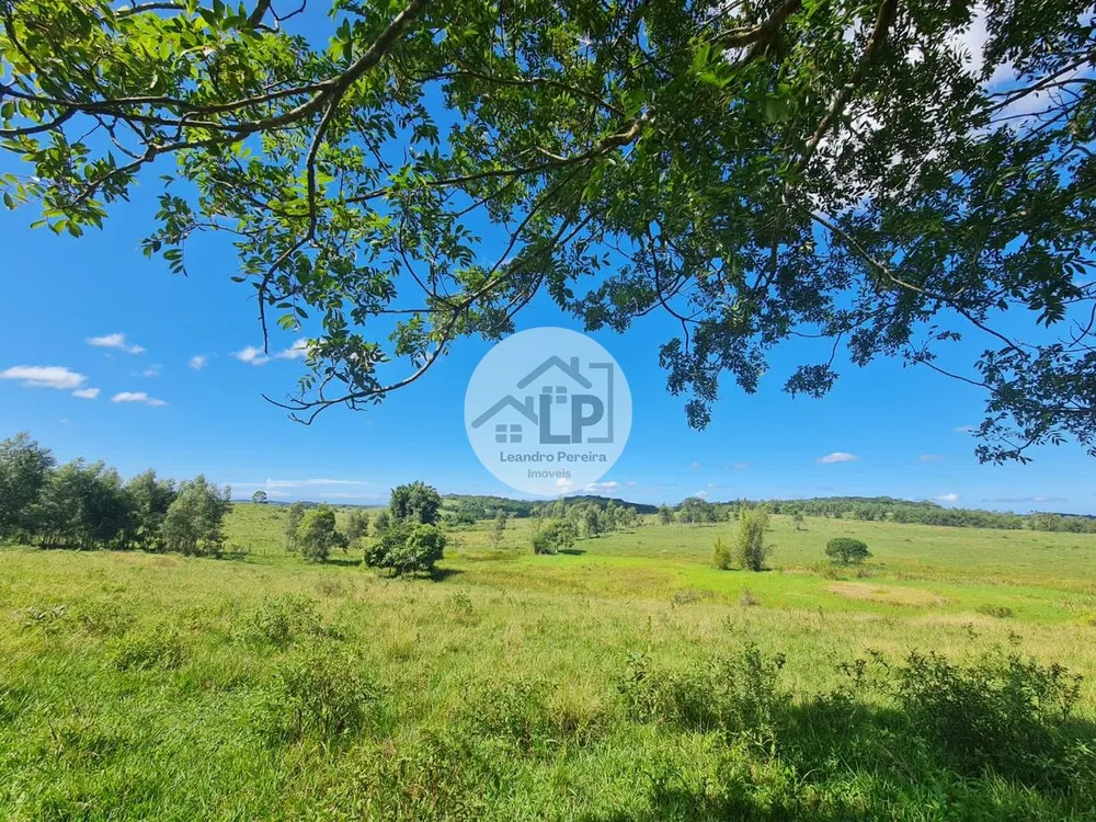 Fazenda, 244 hectares - Foto 17