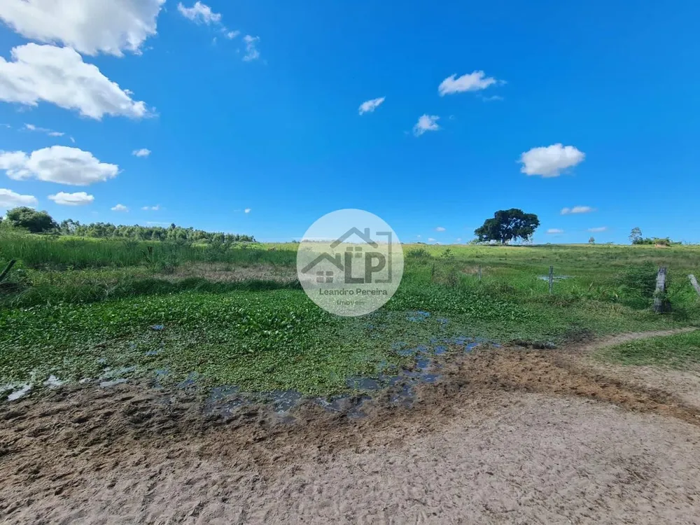 Fazenda, 244 hectares - Foto 19
