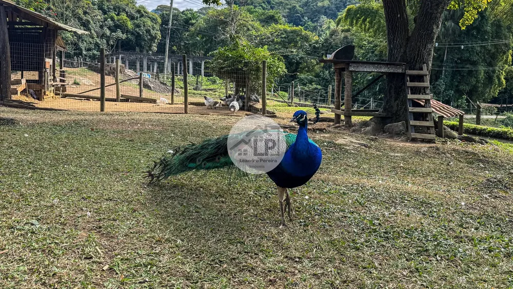 Fazenda, 2 hectares - Foto 23