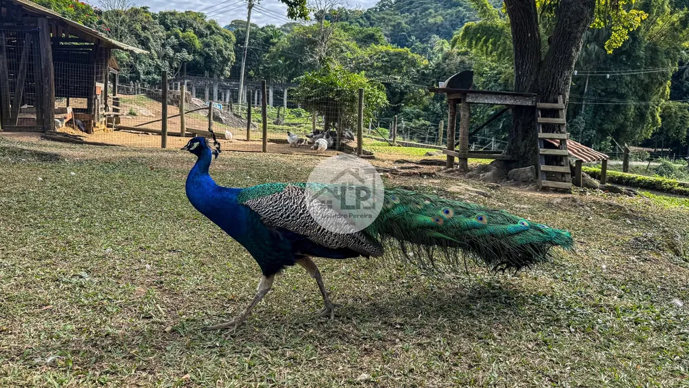 Fazenda, 2 hectares - Foto 24