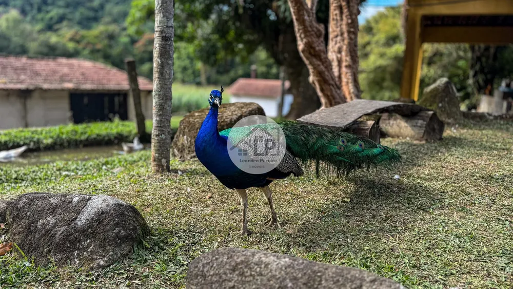 Fazenda, 2 hectares - Foto 1