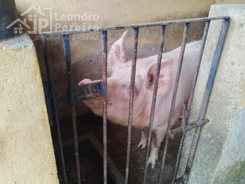 Fazenda, 2 quartos - Foto 24