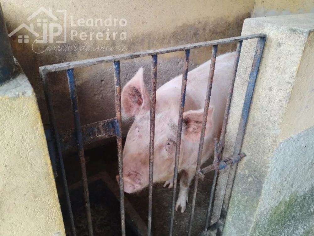 Fazenda, 2 quartos - Foto 23