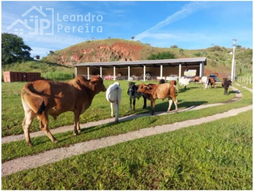 Fazenda à venda com 2 quartos - Foto 7