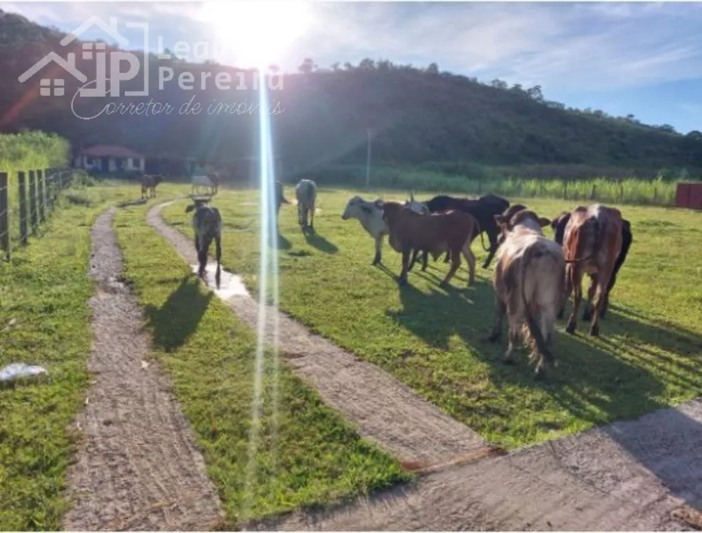 Fazenda à venda com 2 quartos - Foto 8