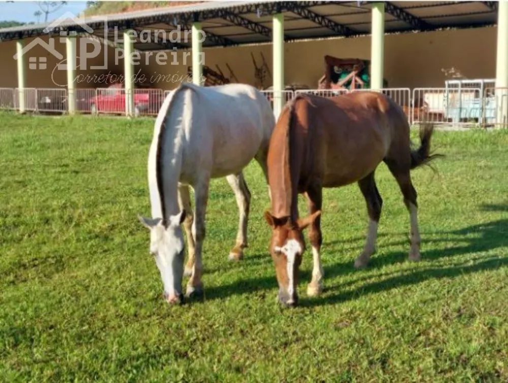 Fazenda à venda com 2 quartos - Foto 1