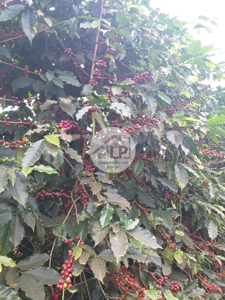 Fazenda, 1 quarto - Foto 3