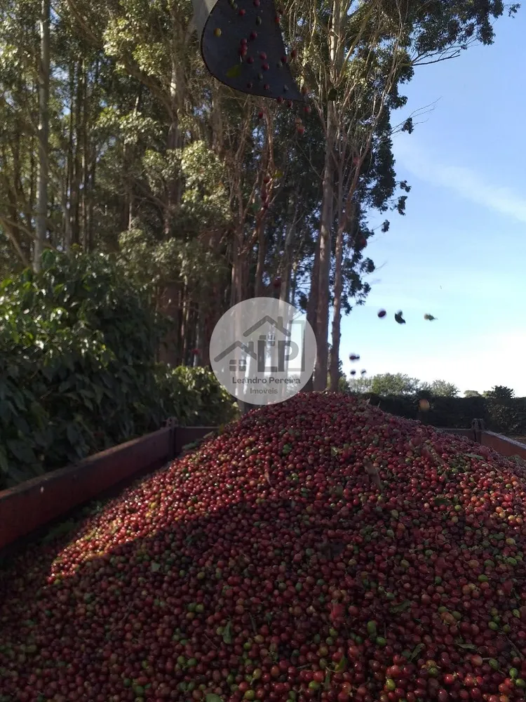 Fazenda, 1 quarto - Foto 6