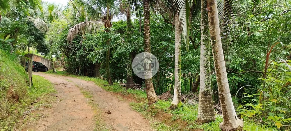 Chácara, 3 quartos, 2475 m² - Foto 16