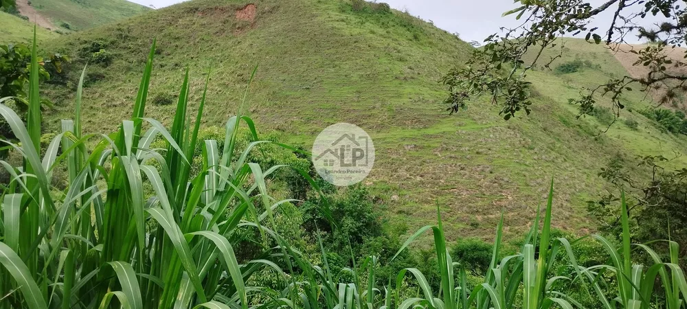 Chácara, 3 quartos, 2475 m² - Foto 6