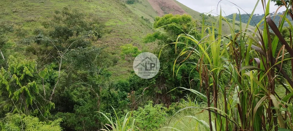 Chácara, 3 quartos, 2475 m² - Foto 18