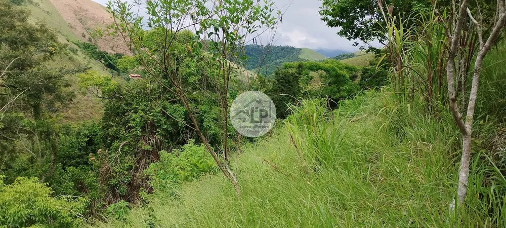 Chácara, 3 quartos, 2475 m² - Foto 12