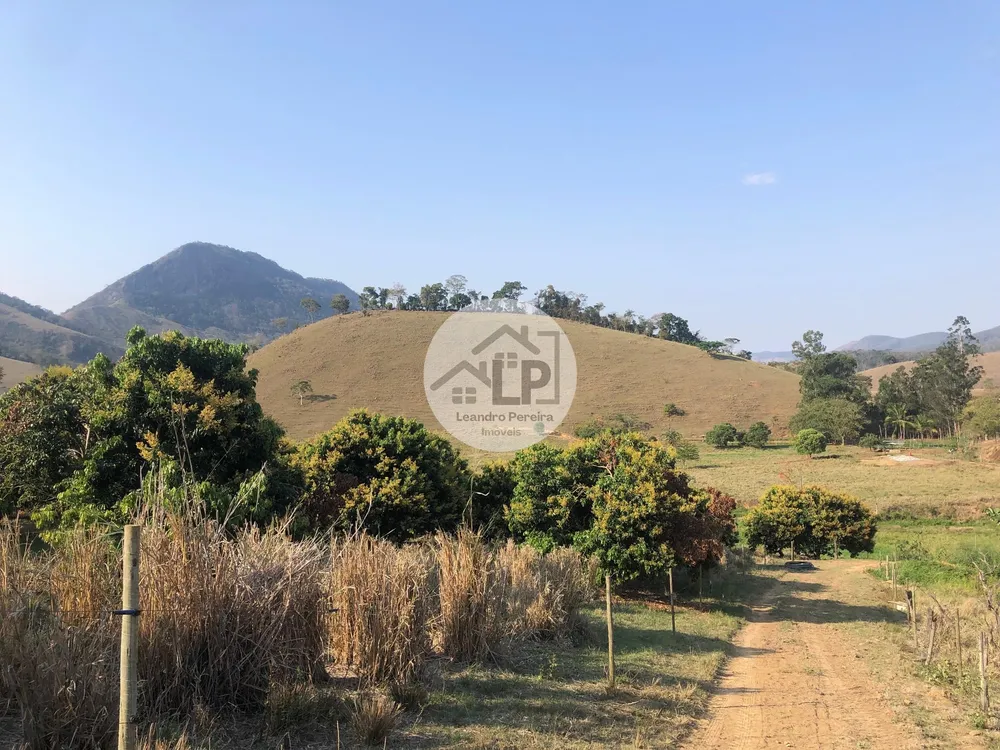 Fazenda, 48 hectares - Foto 28