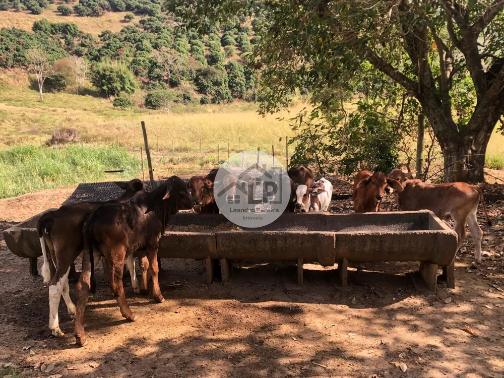 Fazenda, 48 hectares - Foto 4