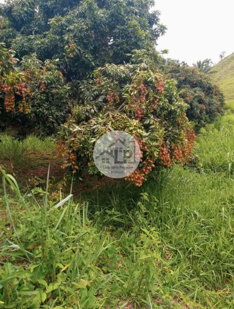 Fazenda, 48 hectares - Foto 20