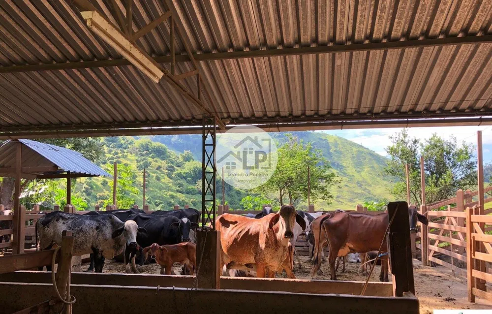 Fazenda, 48 hectares - Foto 7