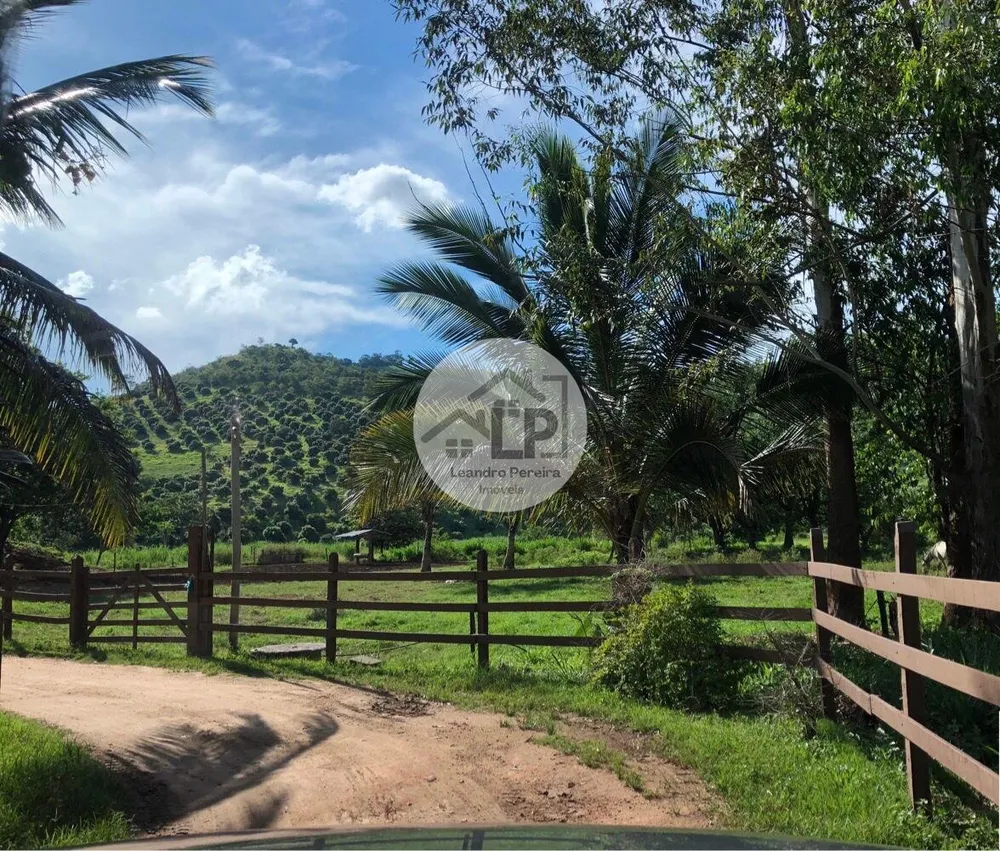 Fazenda, 48 hectares - Foto 33