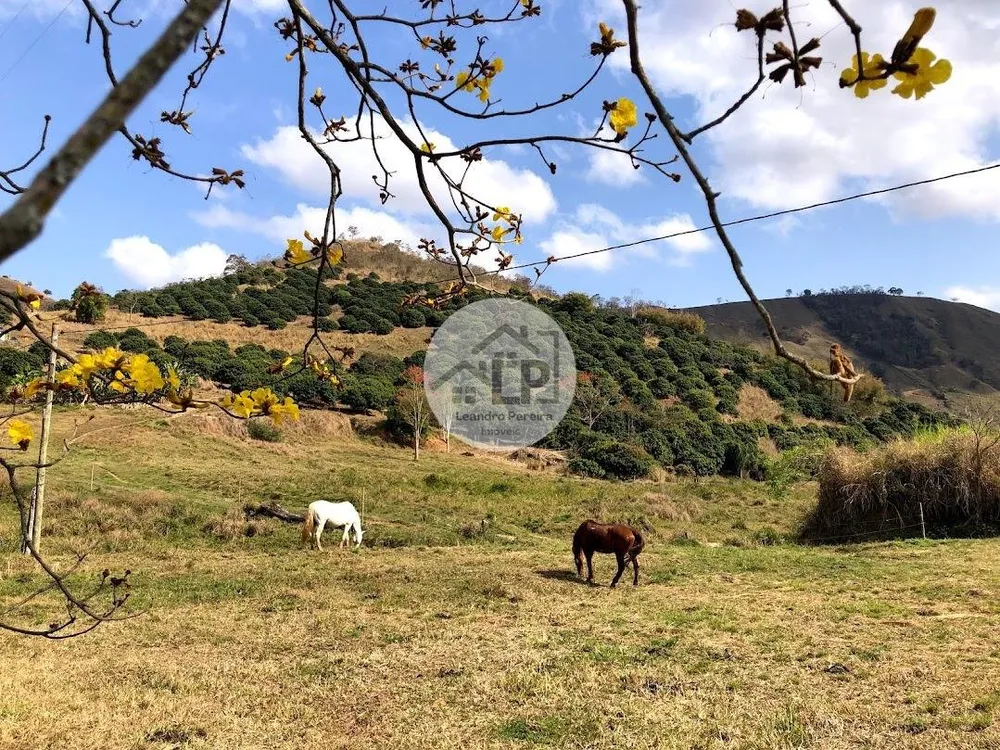 Fazenda, 48 hectares - Foto 32