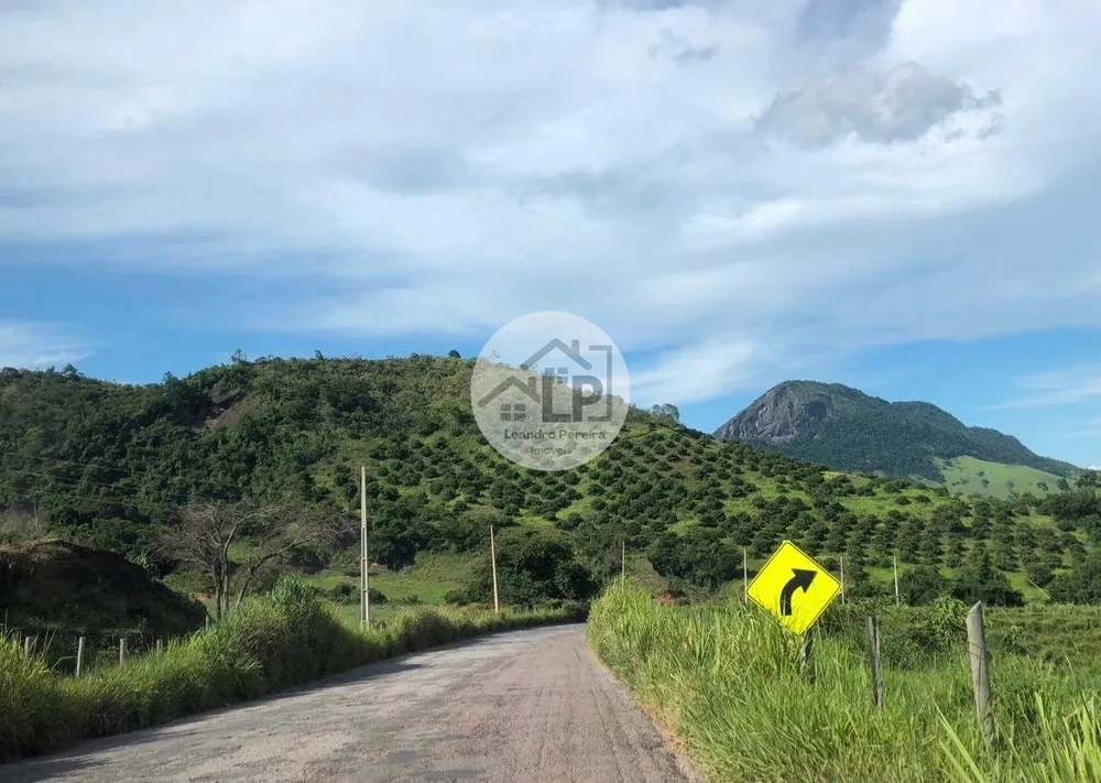 Fazenda, 48 hectares - Foto 25