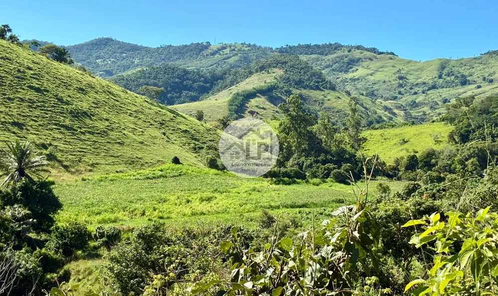 Fazenda, 48 hectares - Foto 16