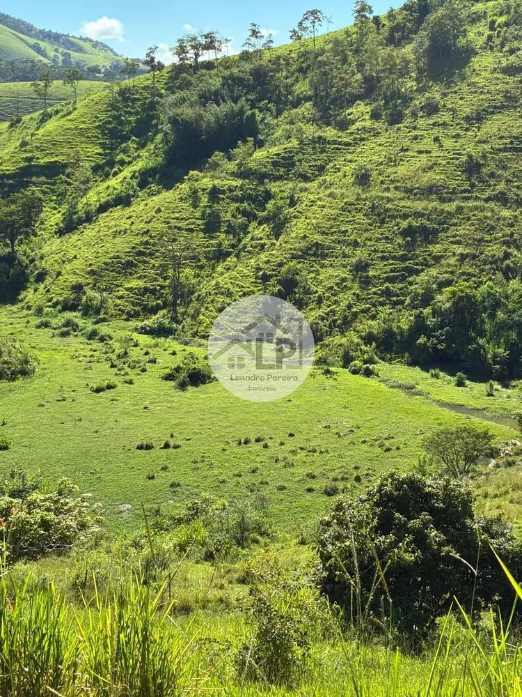 Fazenda, 48 hectares - Foto 9