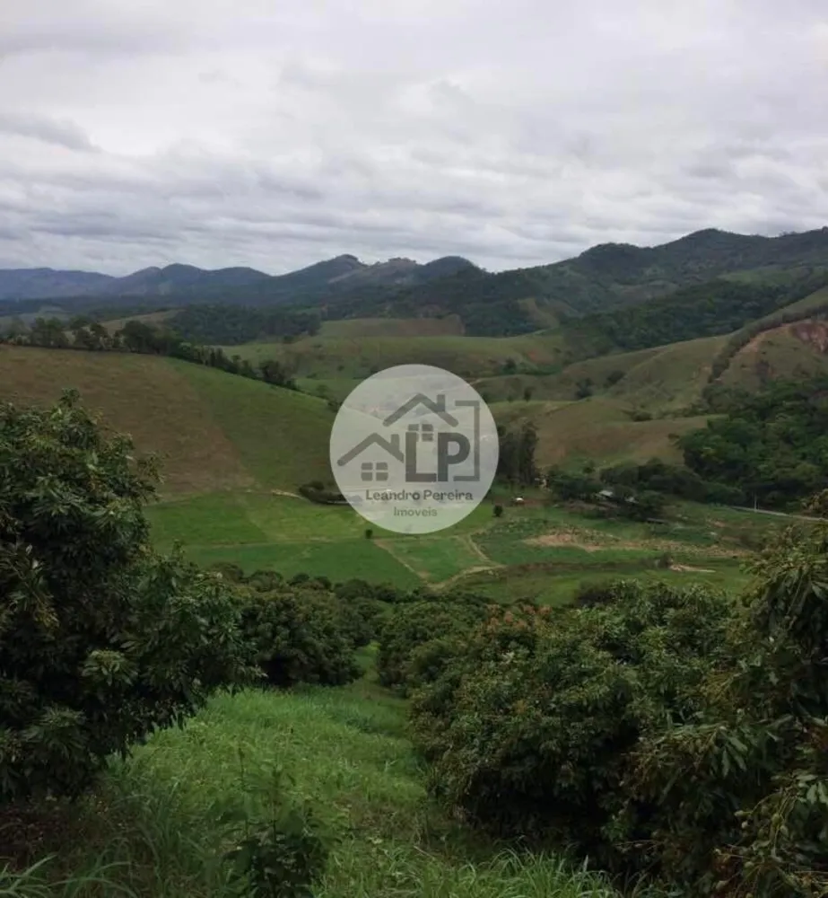 Fazenda, 48 hectares - Foto 26