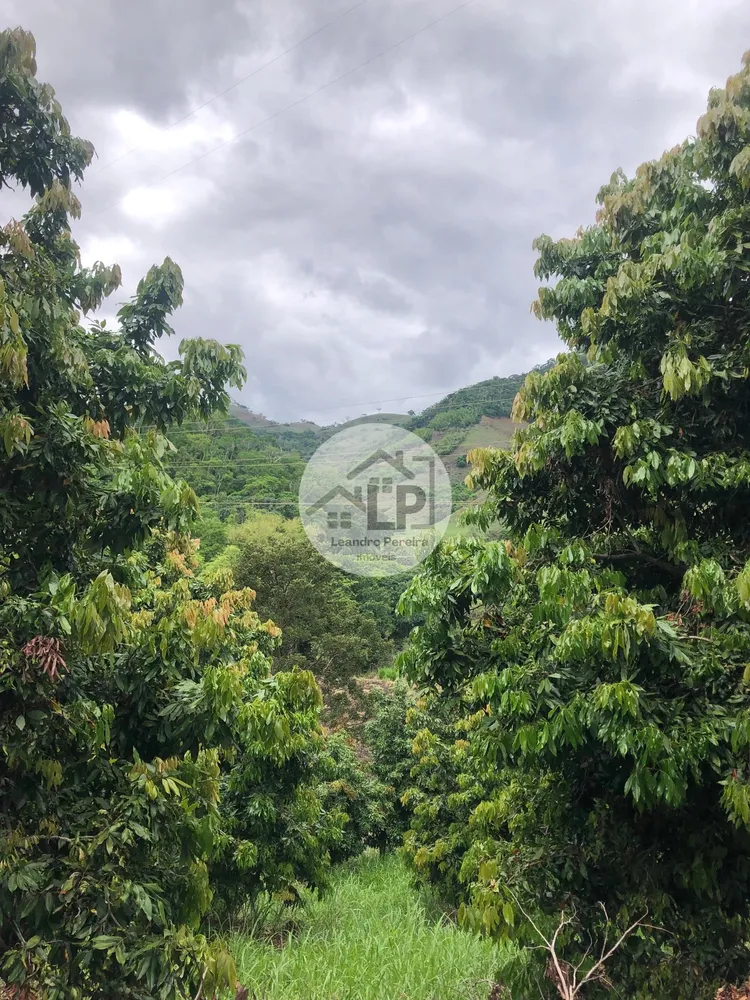 Fazenda, 48 hectares - Foto 23
