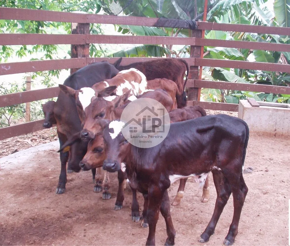 Fazenda, 48 hectares - Foto 6