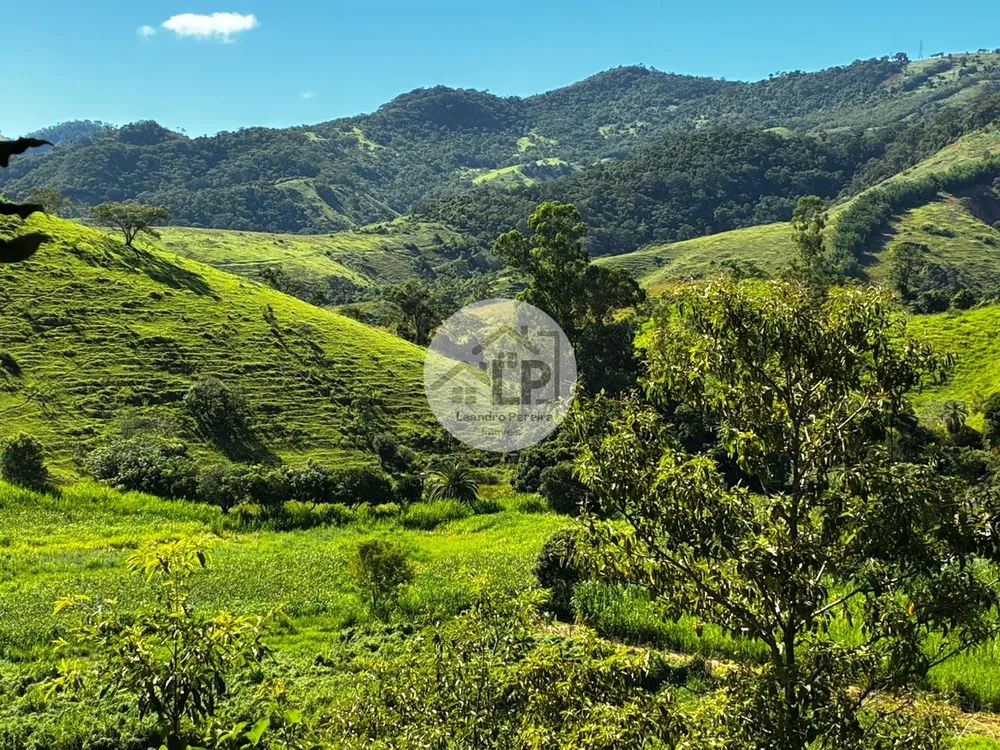 Fazenda, 48 hectares - Foto 17