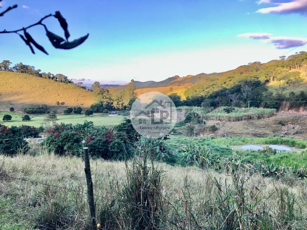 Fazenda, 48 hectares - Foto 40
