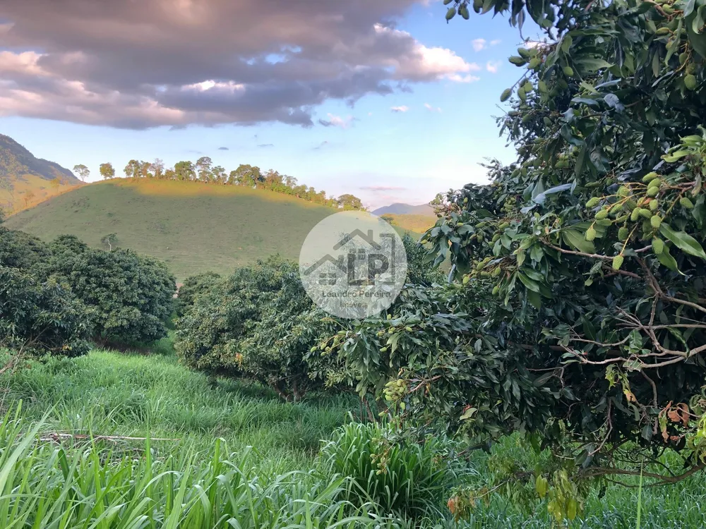 Fazenda, 48 hectares - Foto 22