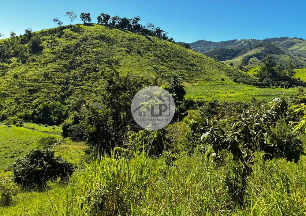 Fazenda, 48 hectares - Foto 10