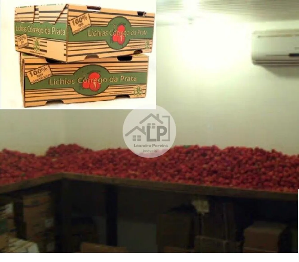 Fazenda, 48 hectares - Foto 2
