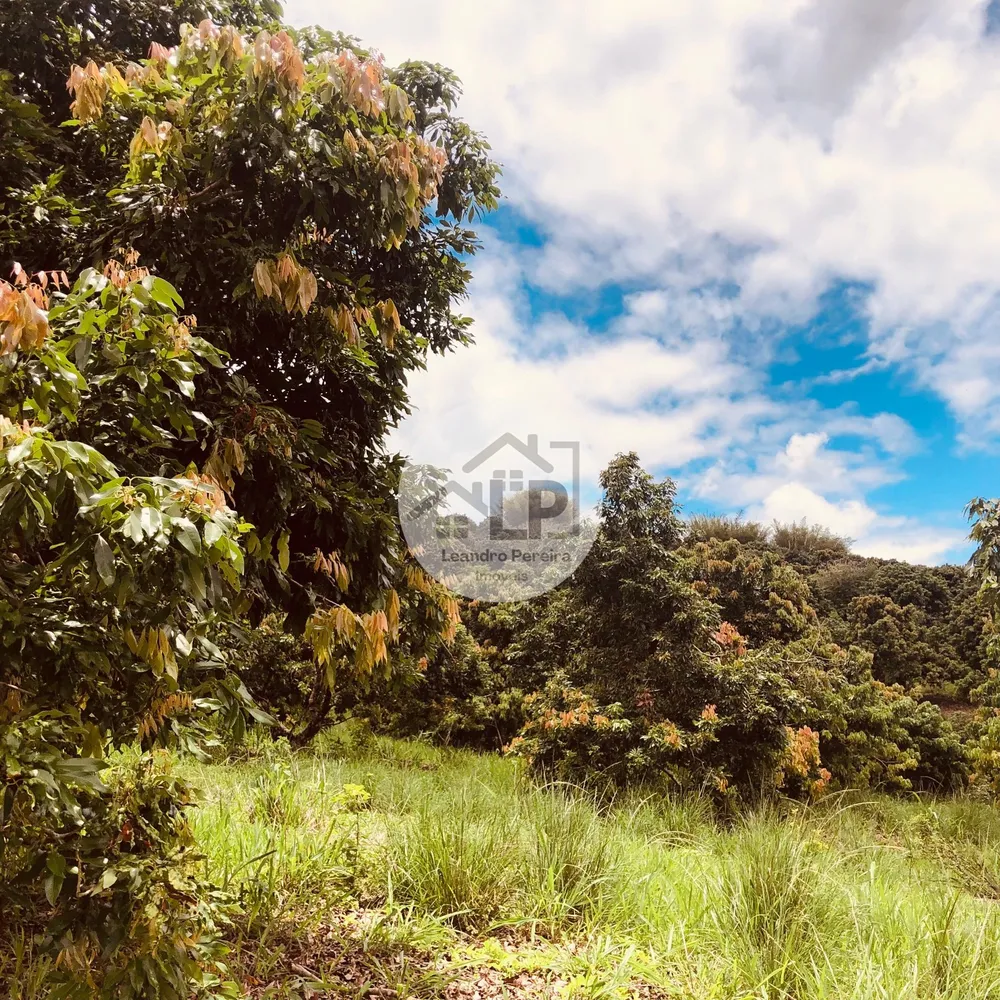 Fazenda, 48 hectares - Foto 18