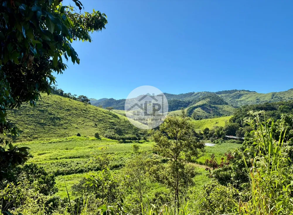 Fazenda, 48 hectares - Foto 15