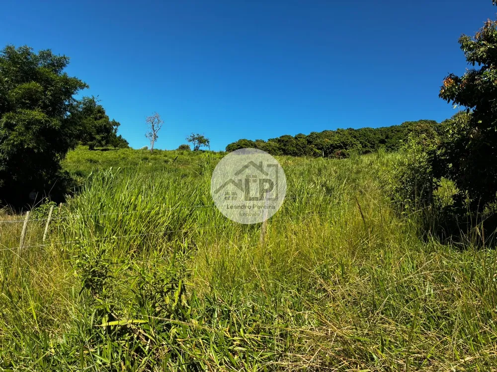 Fazenda, 48 hectares - Foto 11
