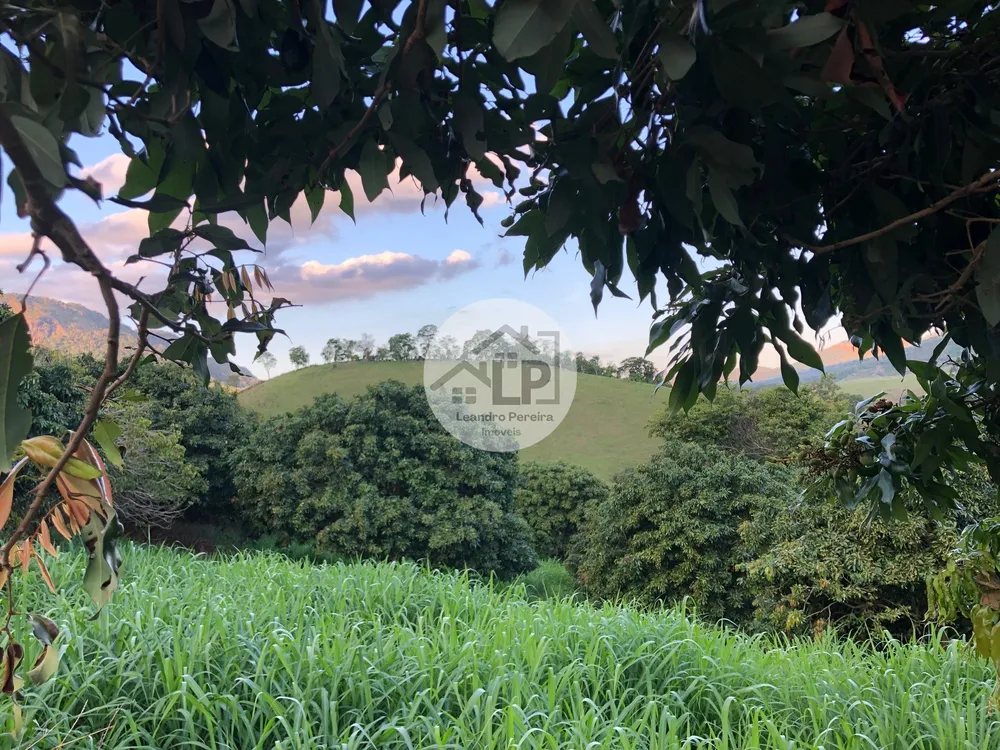 Fazenda, 48 hectares - Foto 34