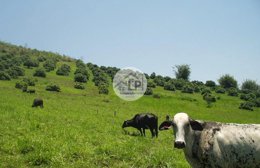 Fazenda, 48 hectares - Foto 37
