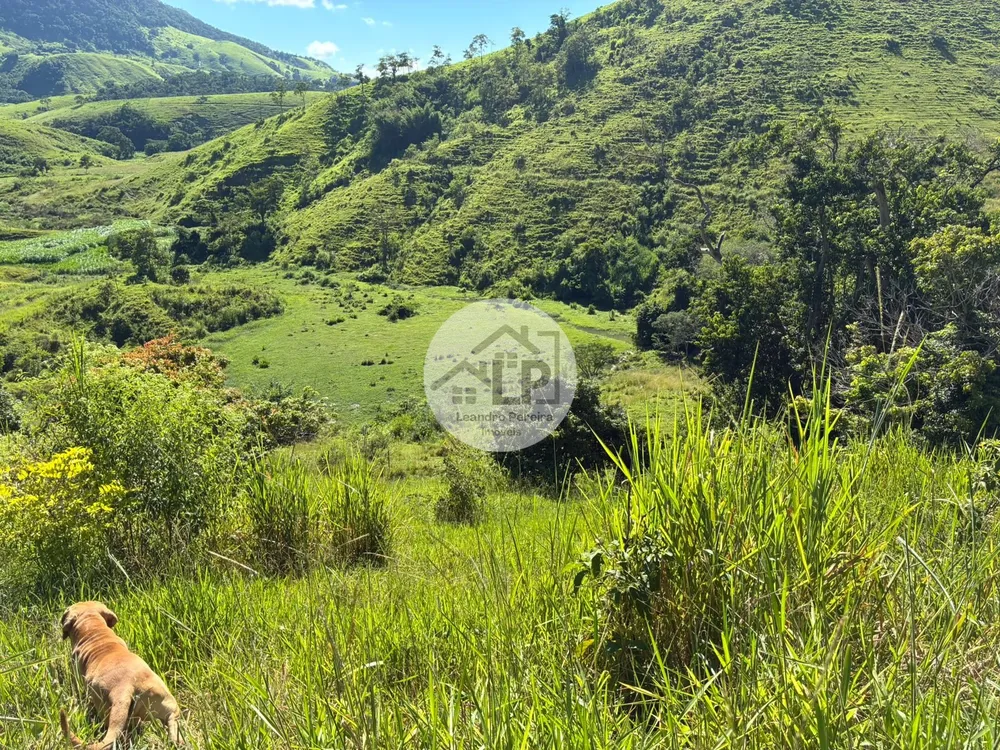 Fazenda, 48 hectares - Foto 12