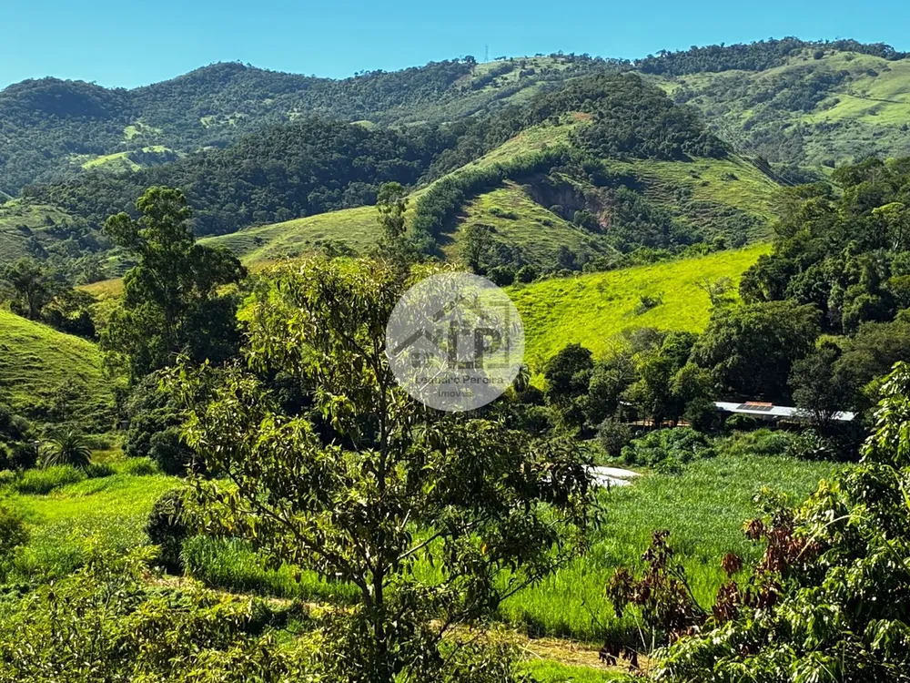 Fazenda, 48 hectares - Foto 14