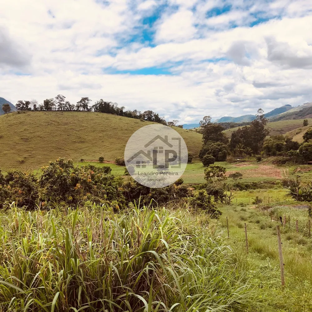 Fazenda, 48 hectares - Foto 36